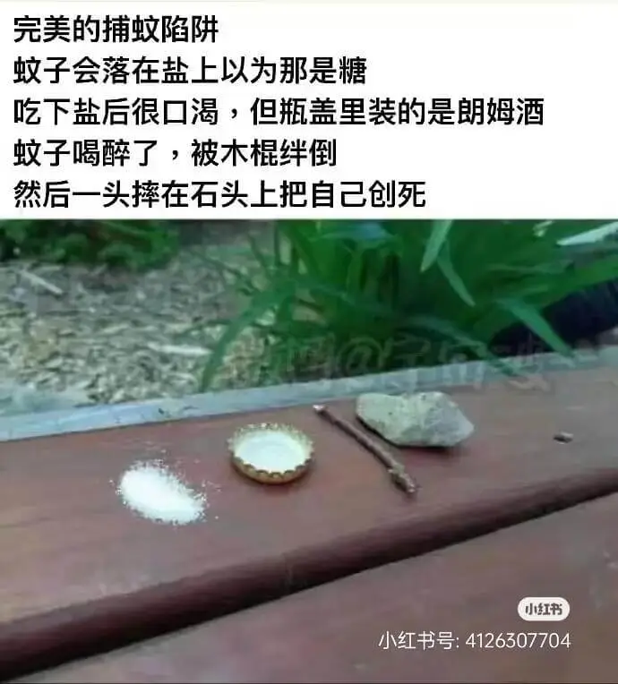 完美的捕蚊陷阱蚊子会落在盐上以为那是糖吃下盐后很口渴，但瓶盖