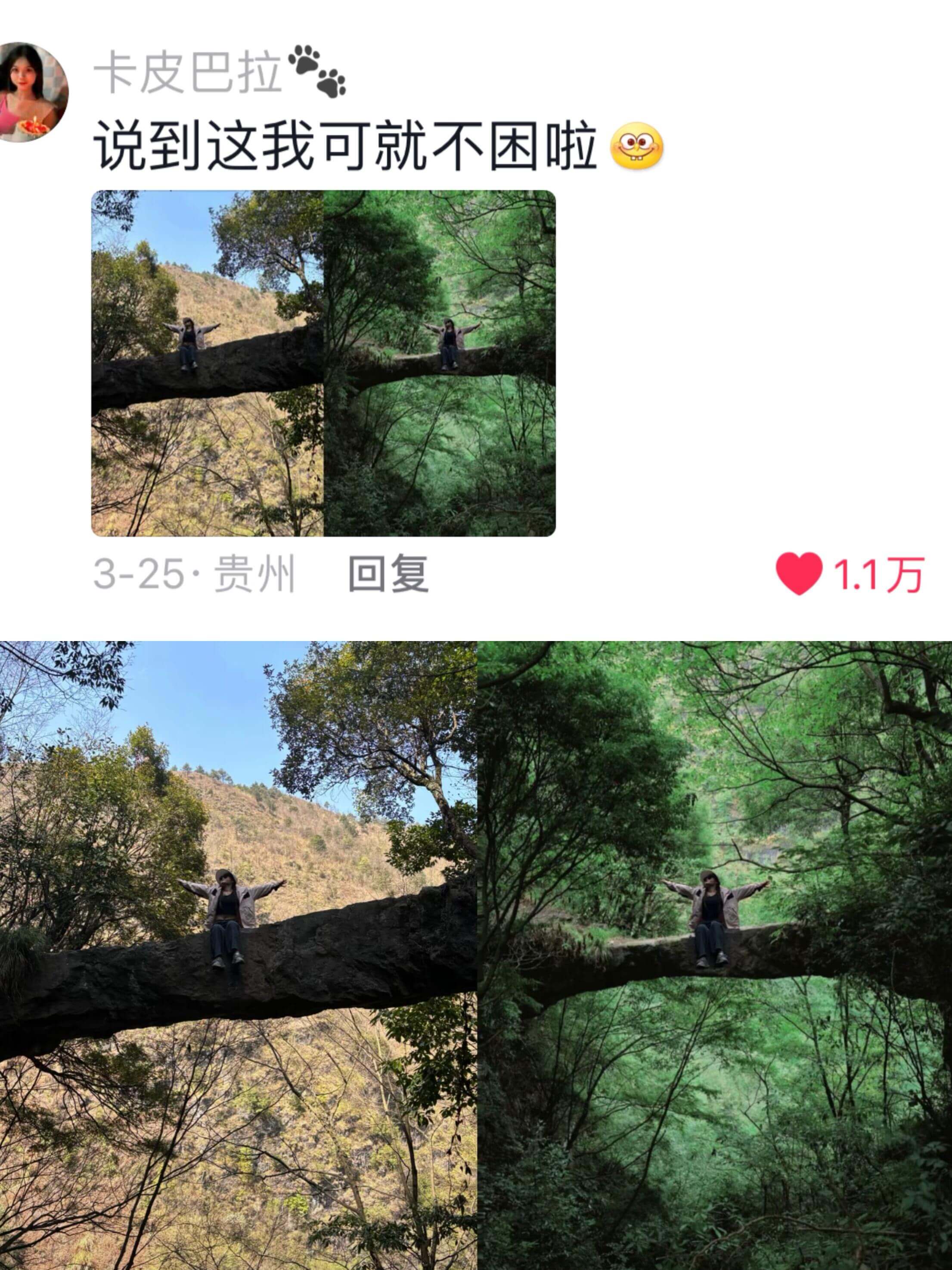 卡皮巴拉说到这我可就不困啦3-25·贵州回复1.1万