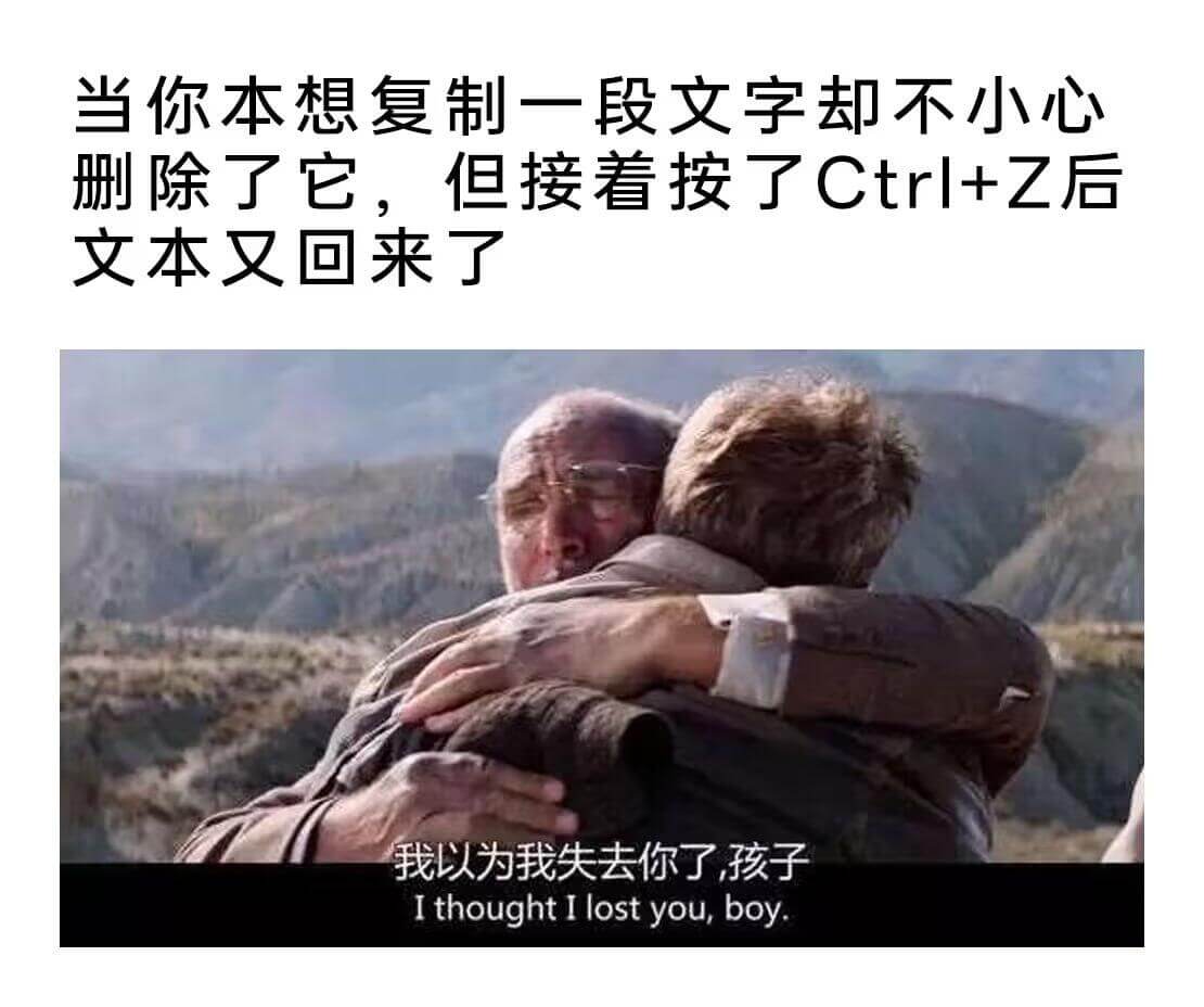 当你本想复制一段文字却不小心删除了它，但接着按了Ctrl+Z