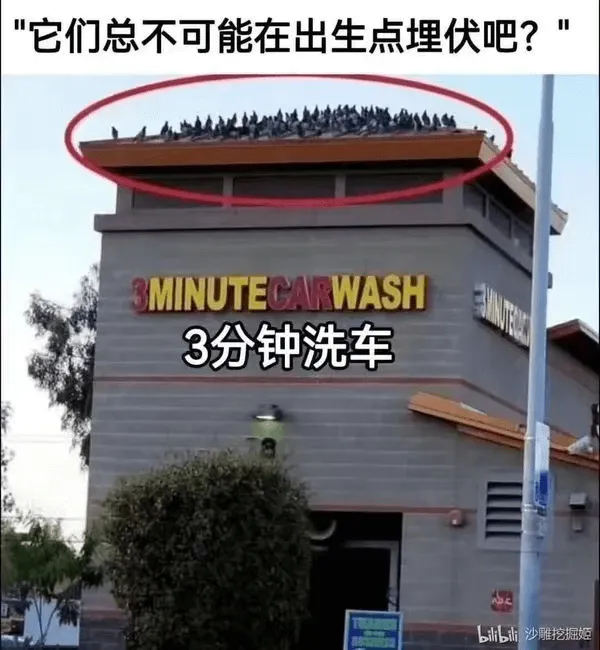 它们总不可能在出生点里伏吧？MINUTECARWASH3分钟