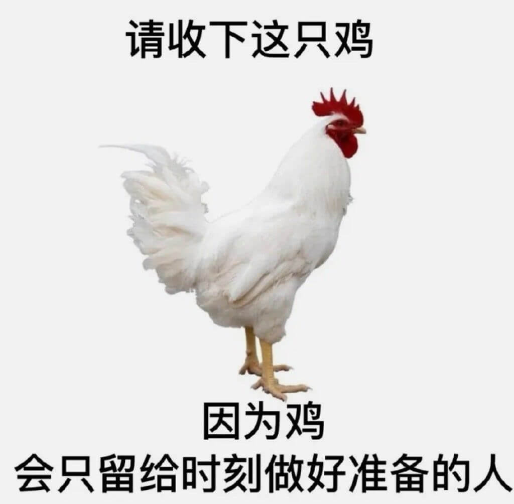 请收下这只鸡因为鸡会只留给时刻做好准备的人