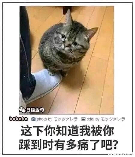 日语金包boketeaphotabyadalbyy这下你知道