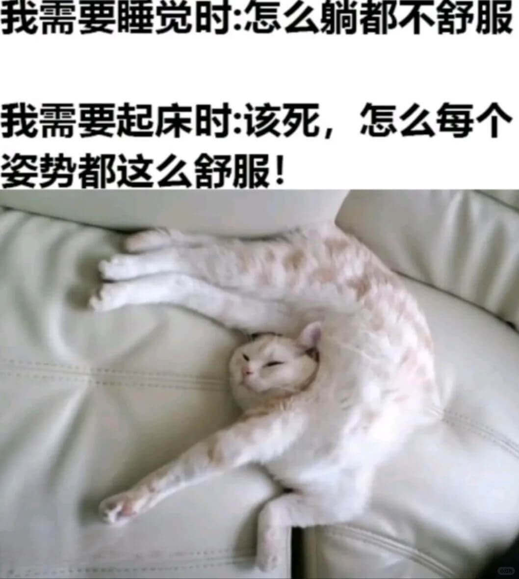 我需要起床时:该死，怎么每个姿势都这么舒服!