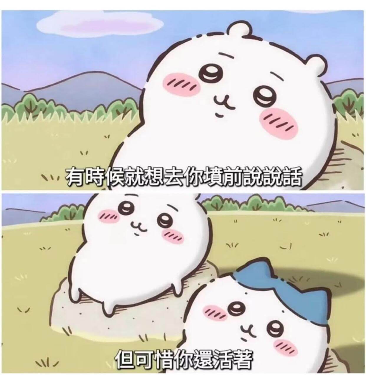 有时候就想去你境前说话但可惜你遐活着