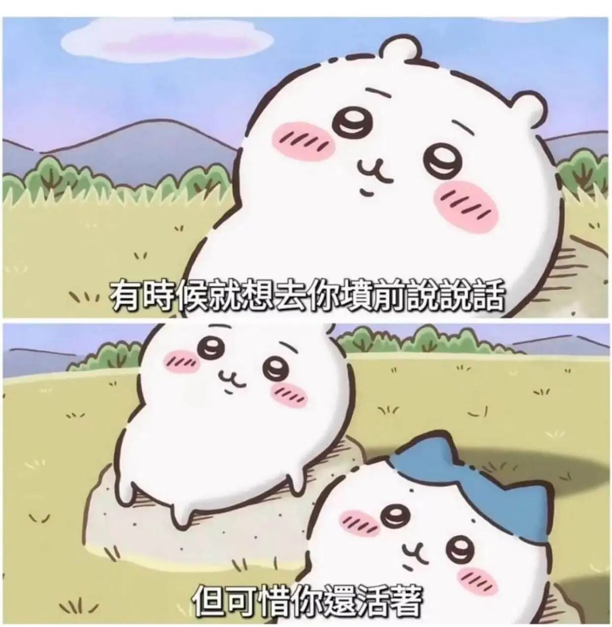 有时候就想去你境前说话但可惜你遐活着