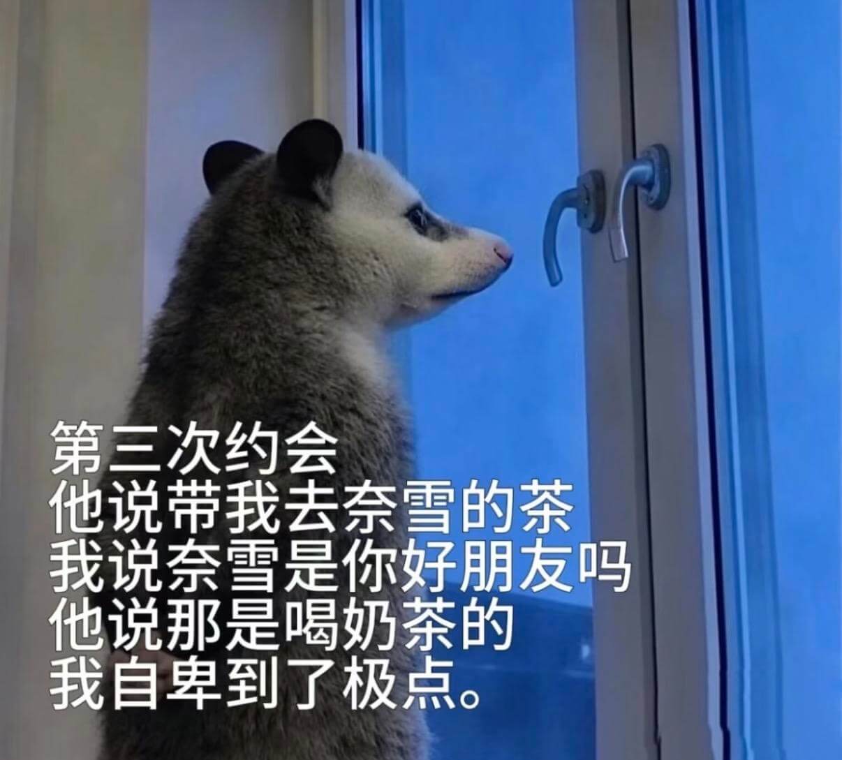 第三次约会他说带我去奈雪的茶。我说：“奈雪是你好朋友吗？”他