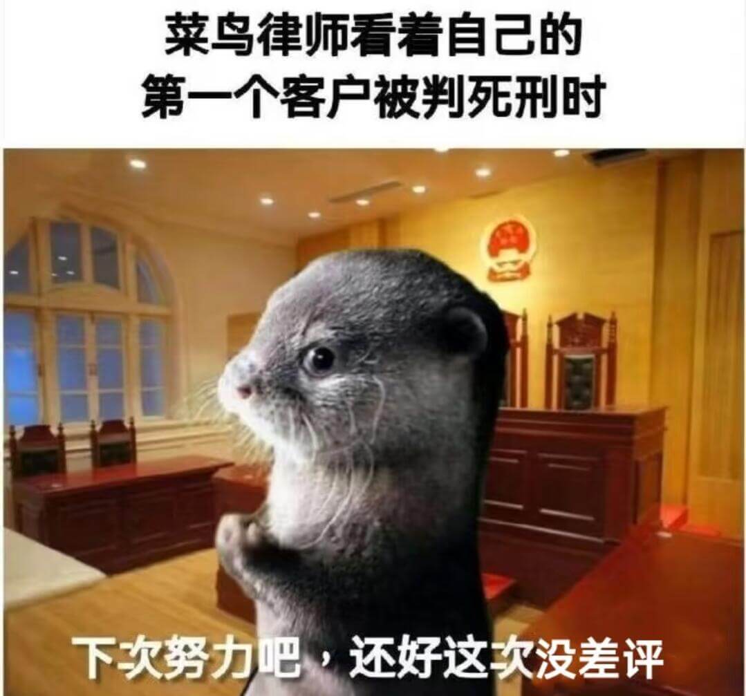 菜鸟律师看着自己的第一个客户被判死刑时，下次努力吧，还好这次