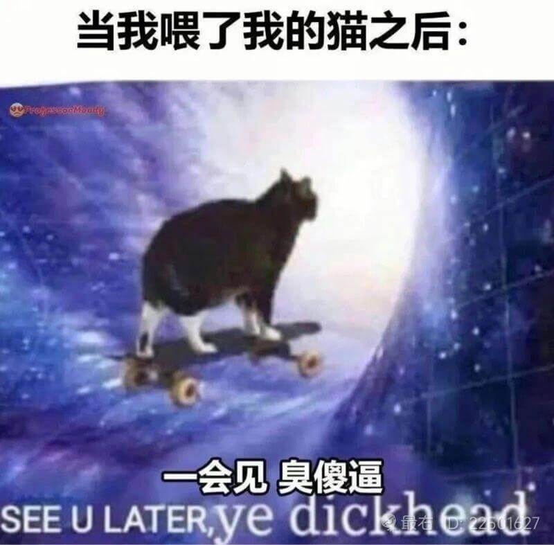 当我喂了我的猫之后：FronnsoaMoudg一会见，臭傻逼