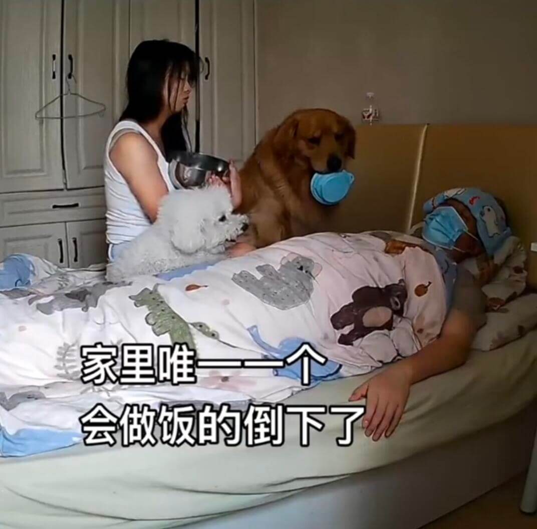 家里唯一会做饭的倒下了