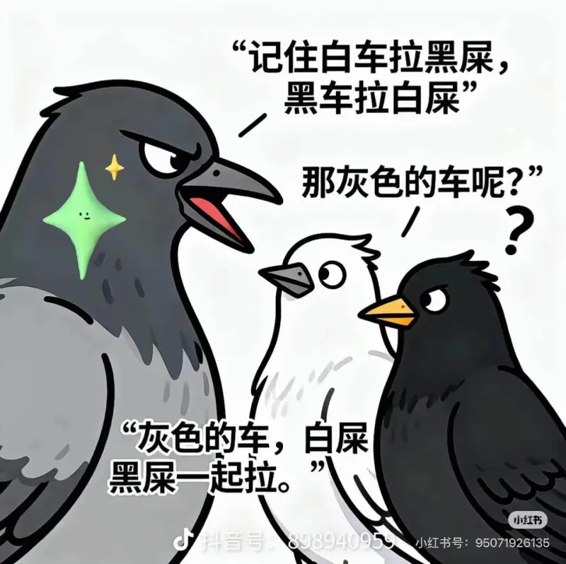 记住白车拉黑屎，黑车拉白屎。那灰色的车呢？“灰色的车，白屎、