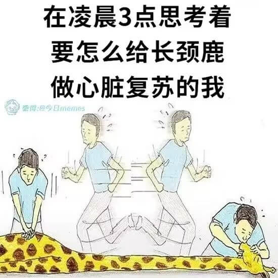 在凌晨3点思考着要怎么给长颈鹿做心脏复苏的我