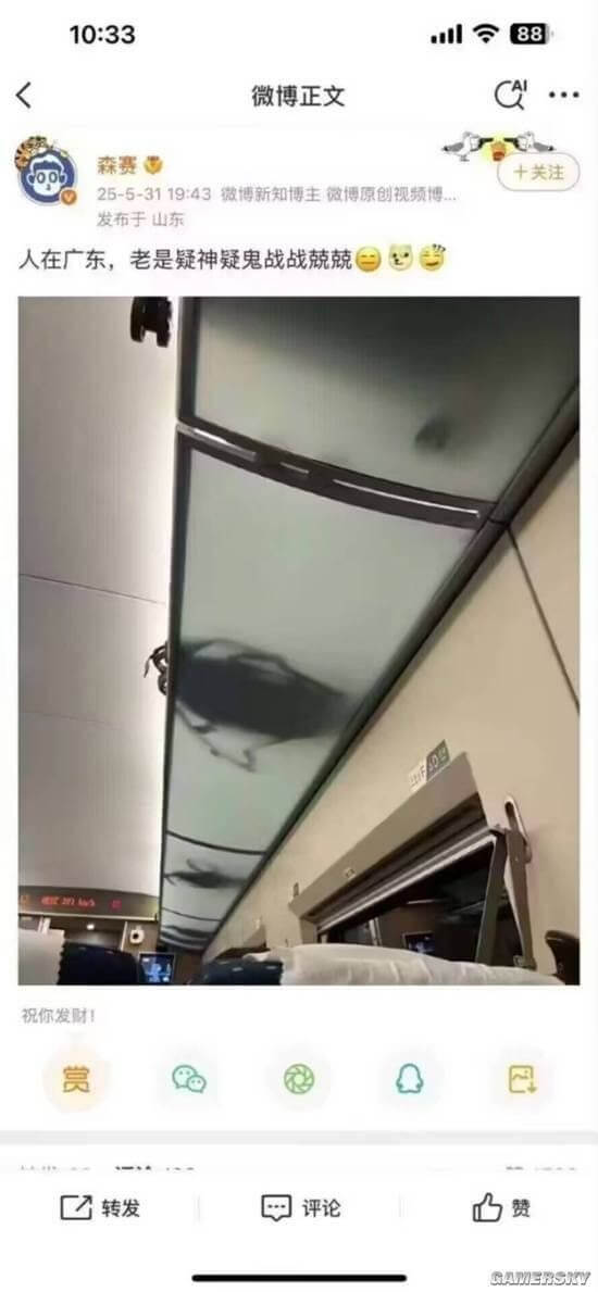 10:3388微博正文森赛十关注25-5-3119:43微博