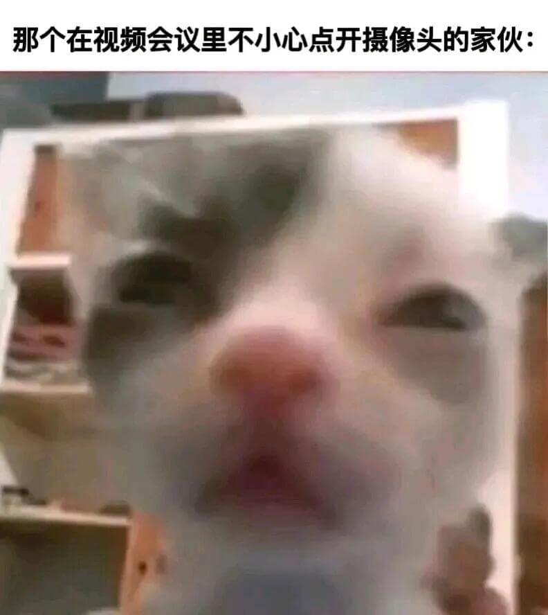 那个在视频会议里不小心点开摄像头的家伙：