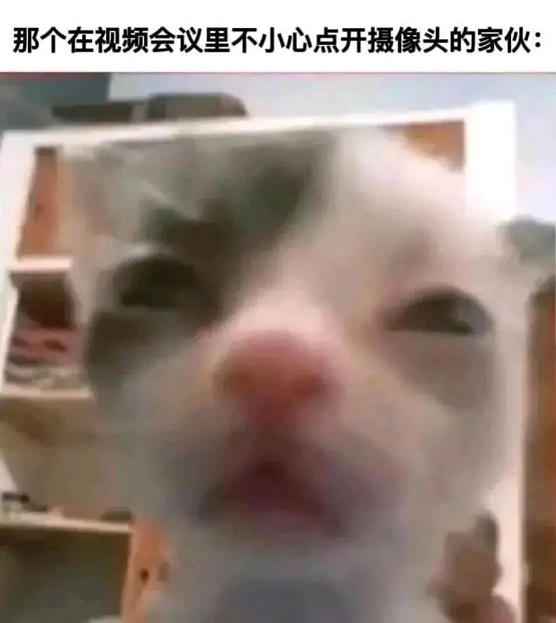 那个在视频会议里不小心点开摄像头的家伙：