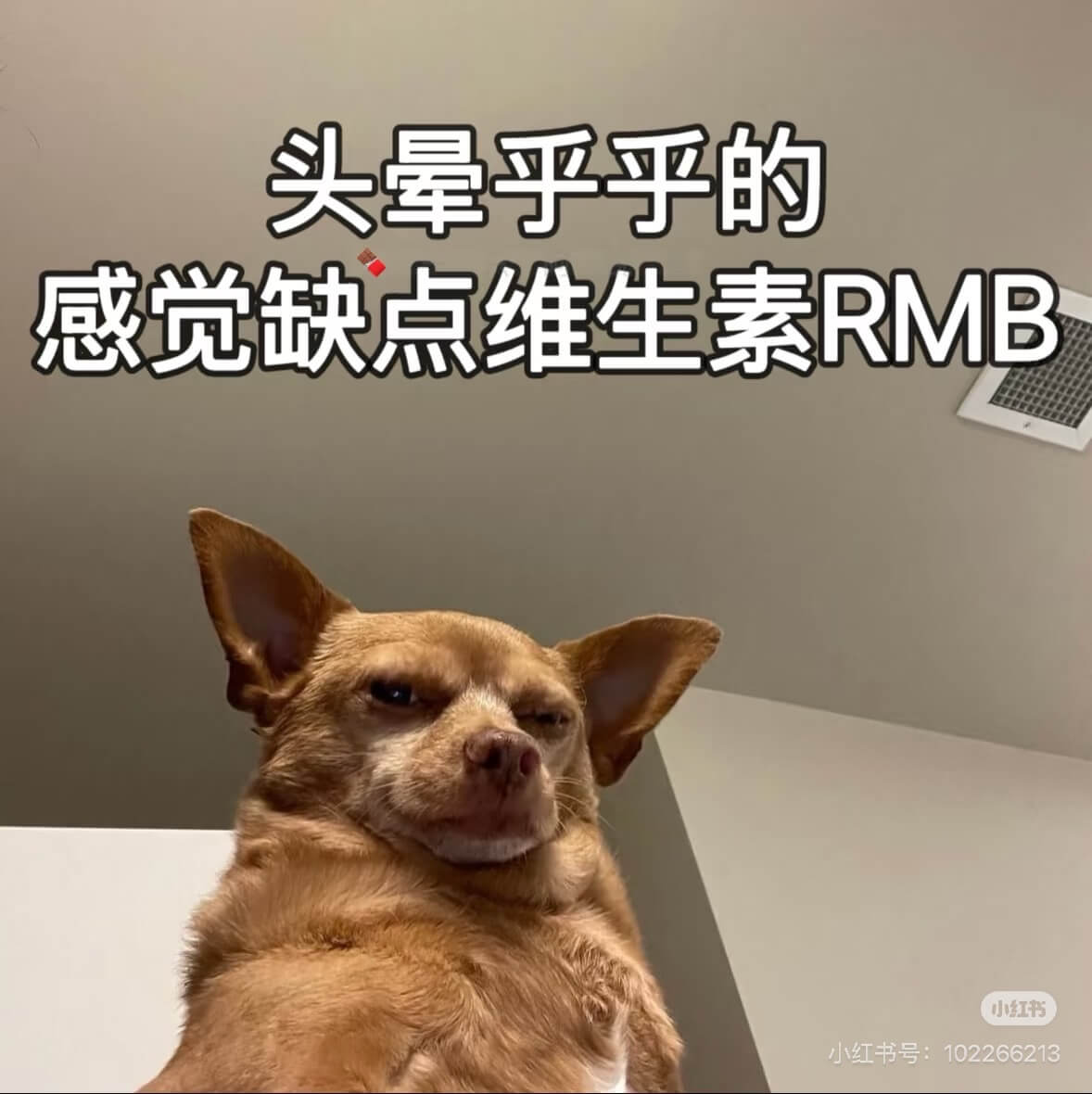 头晕乎乎的，感觉缺点维生素RMB。小红书小红书号：10226