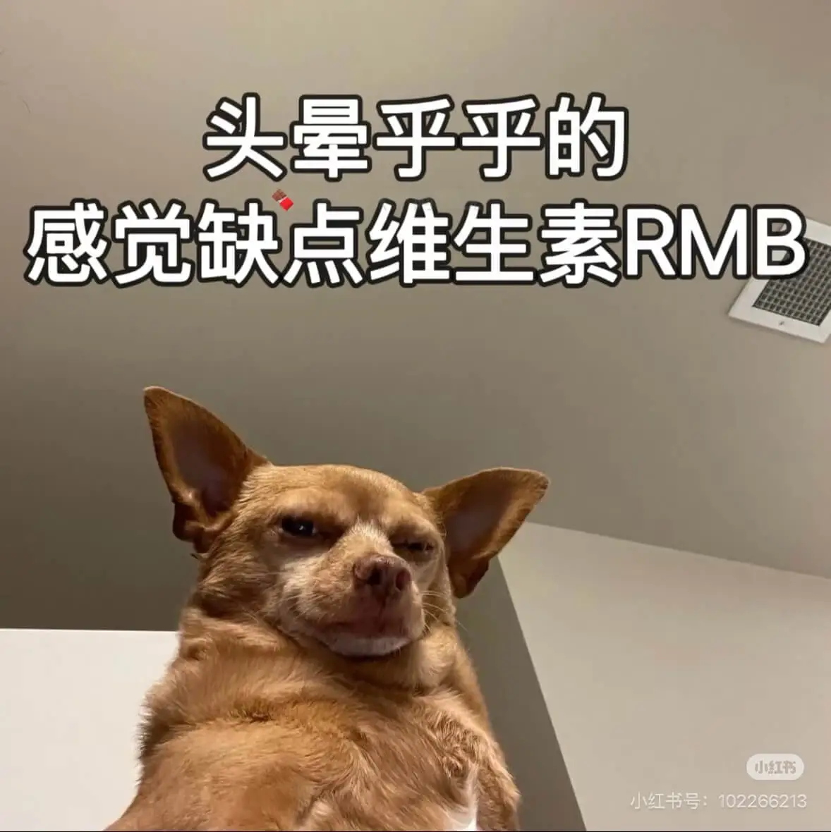 头晕乎乎的，感觉缺点维生素RMB。小红书小红书号：10226