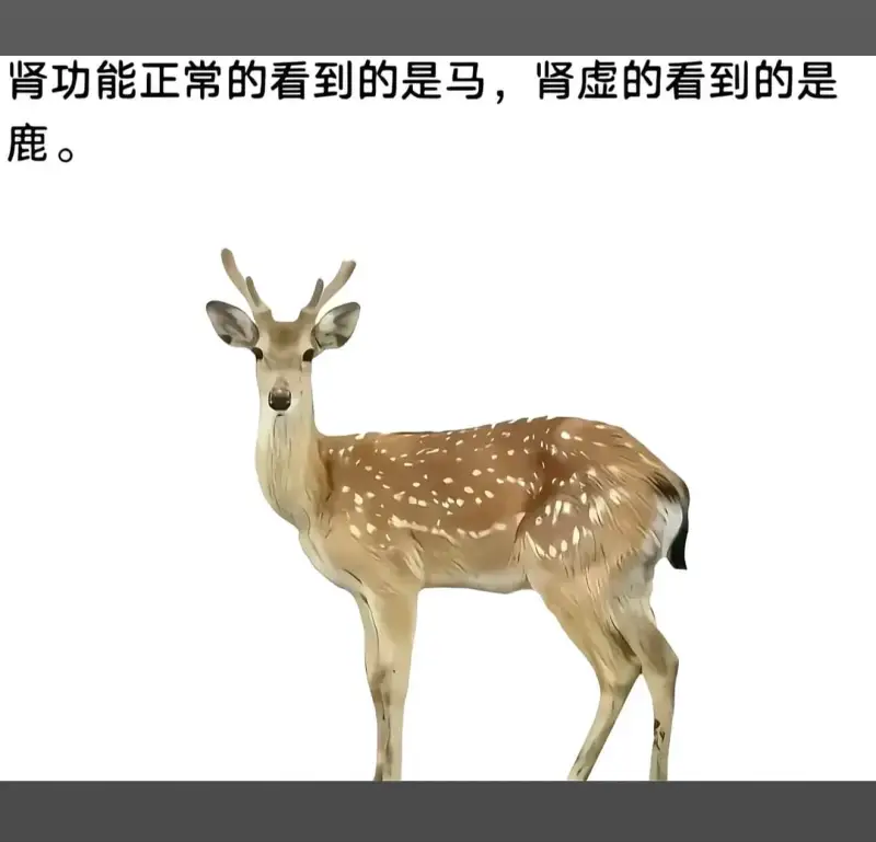 肾功能正常的看到的是马，肾虚的看到的是鹿。
