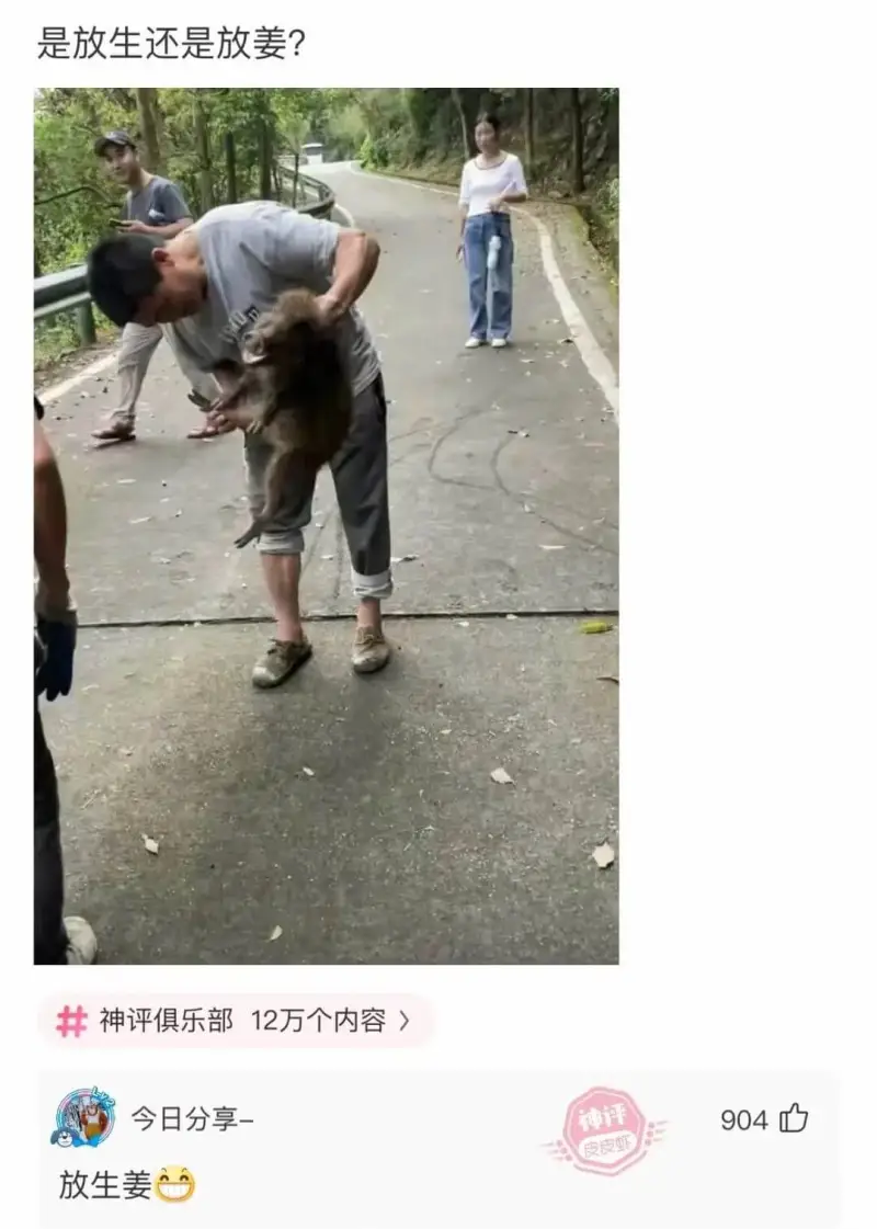 是放生还是放姜?神评俱乐部12万个内容今日分享-放生姜神评9