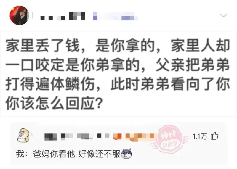 家里丢了钱，是你拿的，家里人却一口咬定是你弟拿的,父亲把弟弟