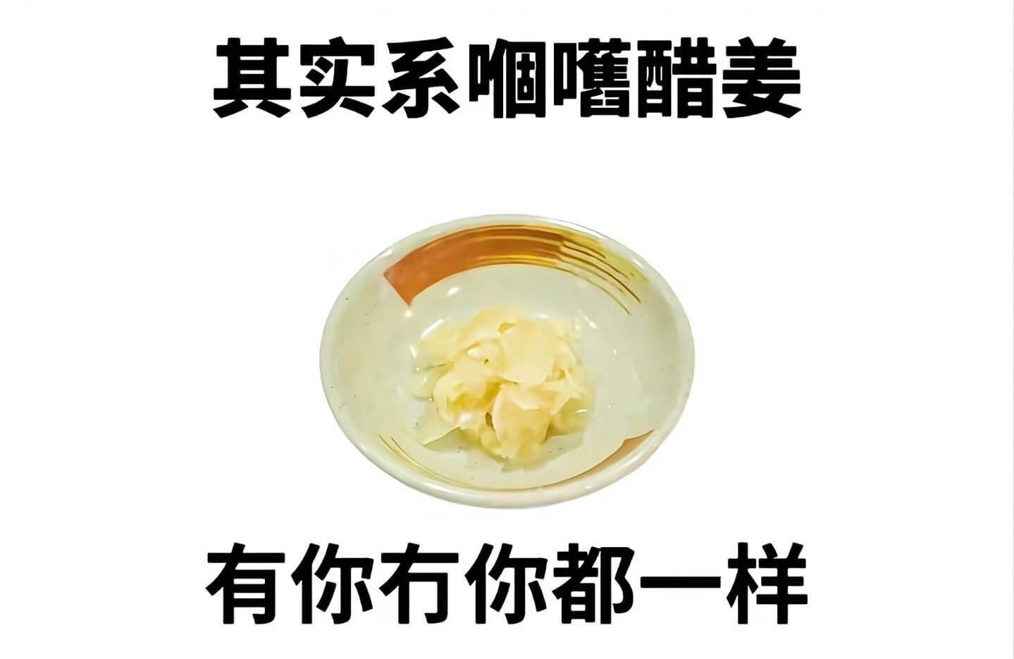 其实系噜醋姜,有你右你都一样。