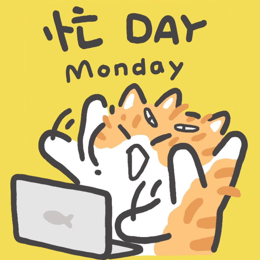 DAYMonday
