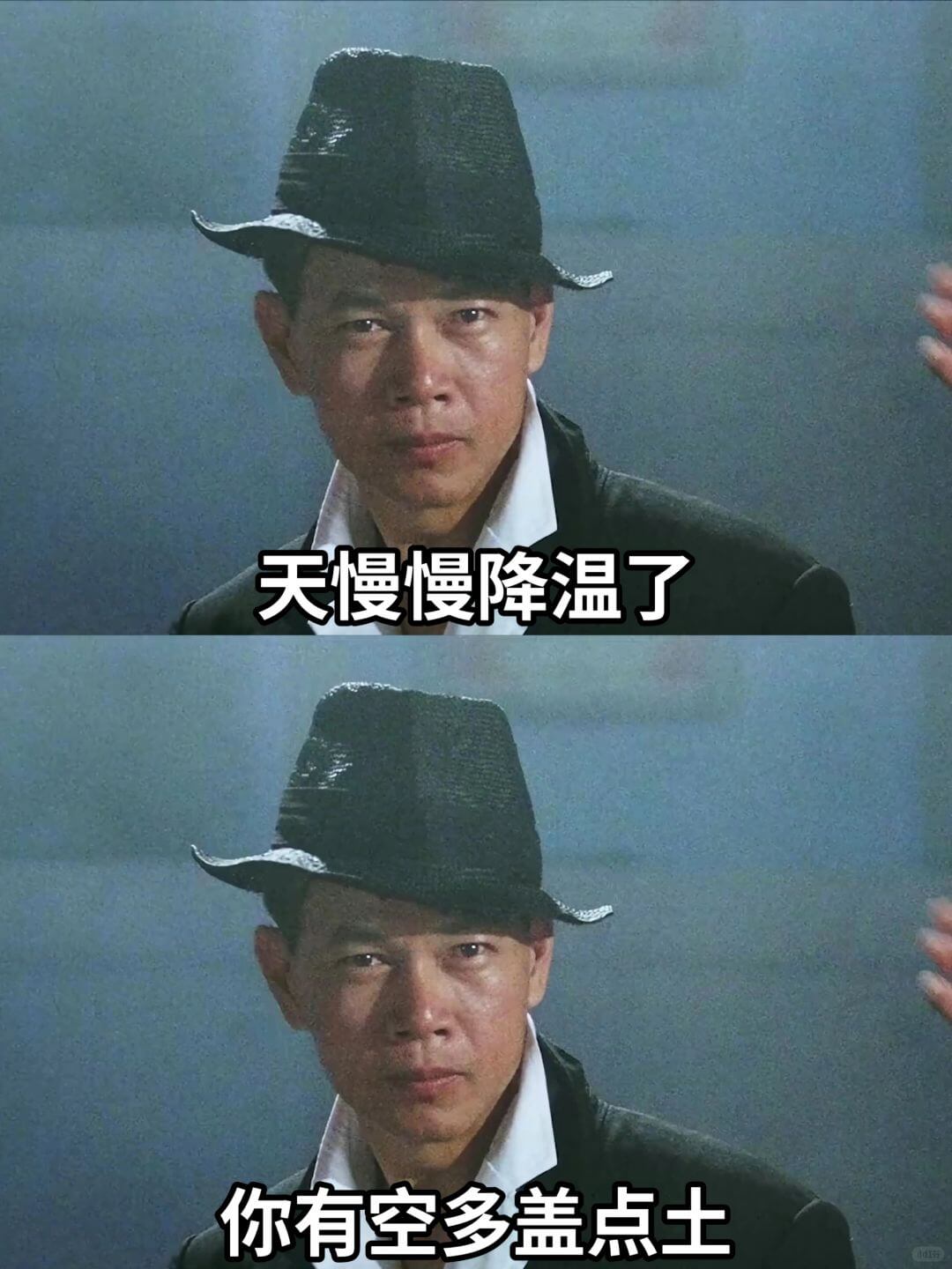 天慢慢降温了你有空多盖点土