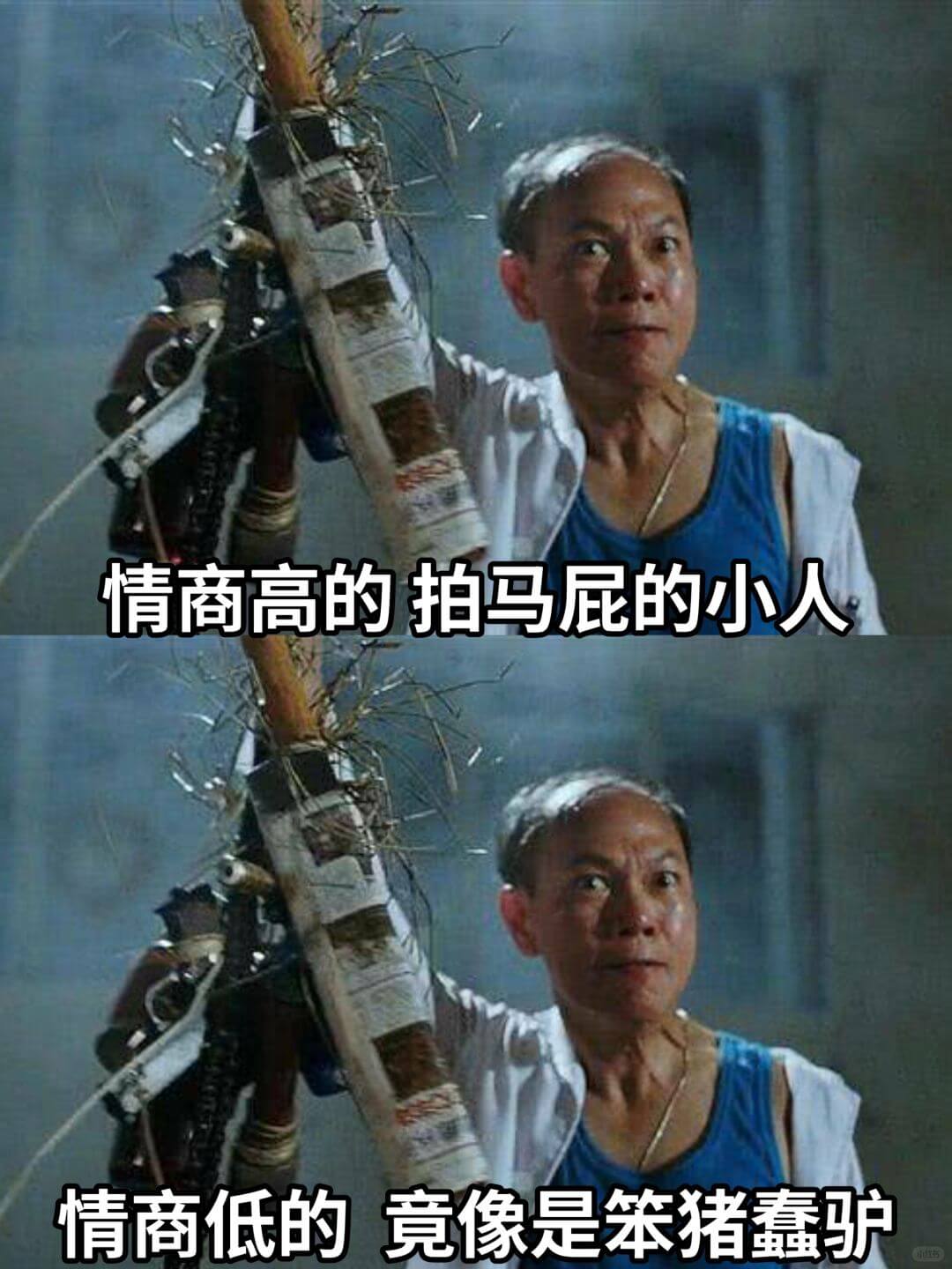 情商高的拍马屁的小人情商低的竟像是笨猪蠢驴