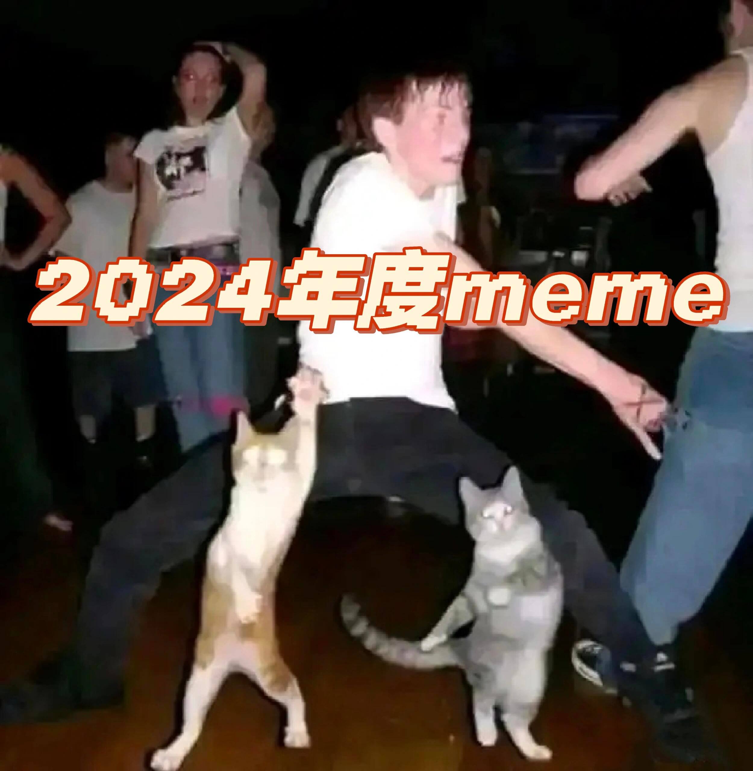 2024年度meme