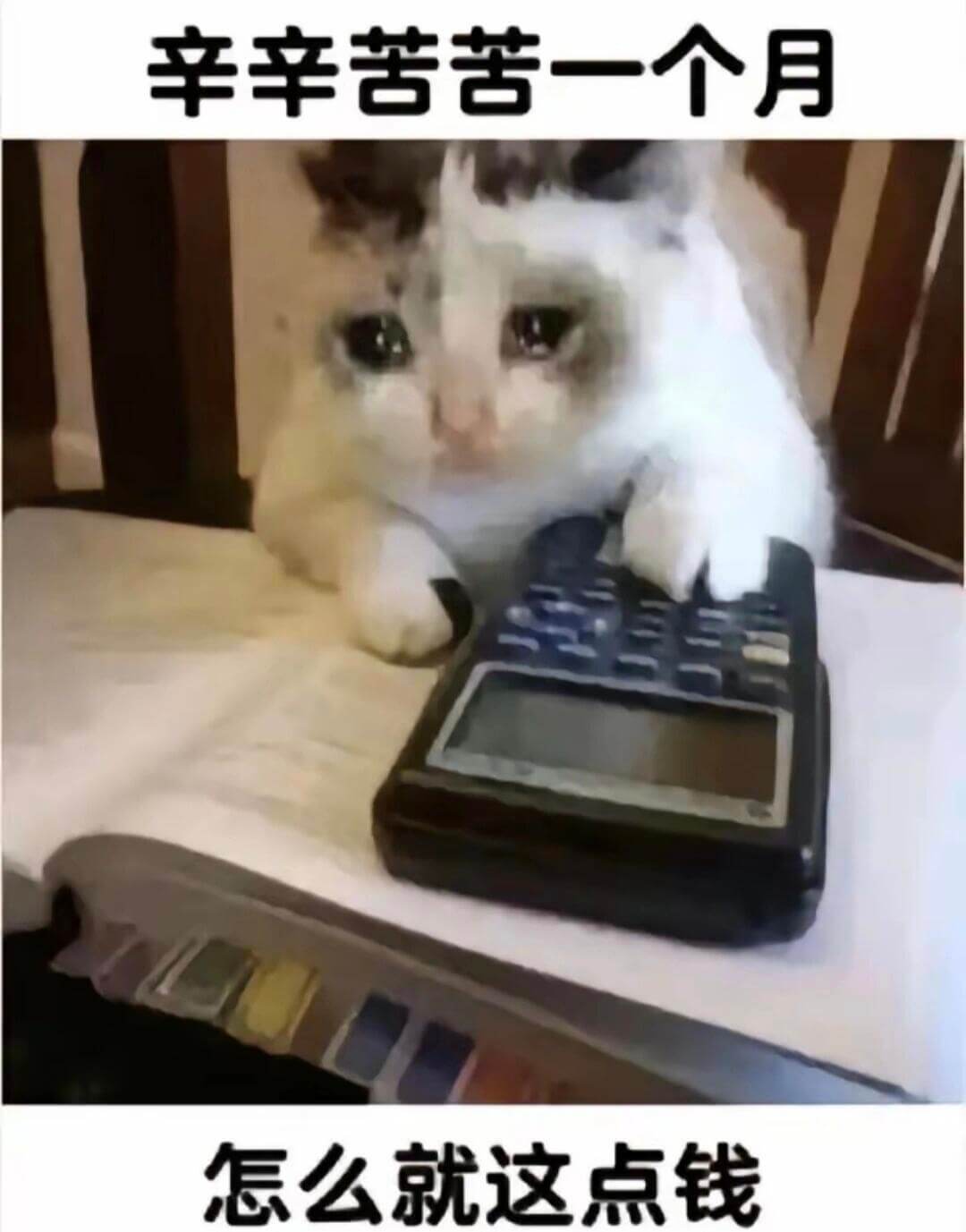 辛辛苦苦一个月，怎么就这点钱？