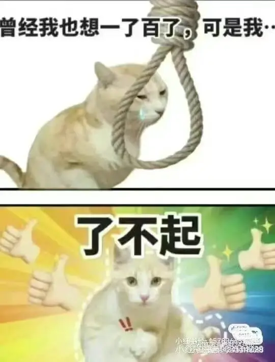 曾经我也想一了百了，可是我了不起