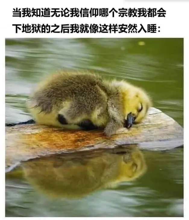 当我知道无论我信仰哪个宗教,我都会下地狱的之后,我就像这样安