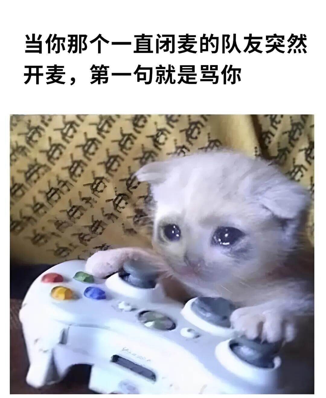 当你那个一直闭麦的队友突然开麦，第一句就是骂你