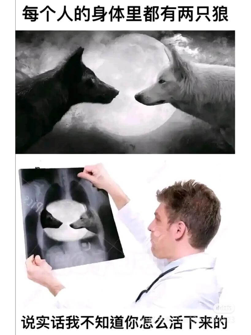 每个人的身体里都有两只狼说实话，我不知道你怎么活下来的