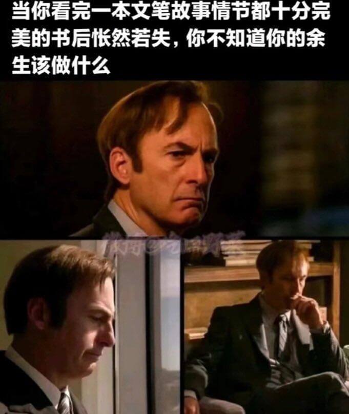 当你看完一本文笔故事情节都十分完美的书后怅然若失，你不知道你