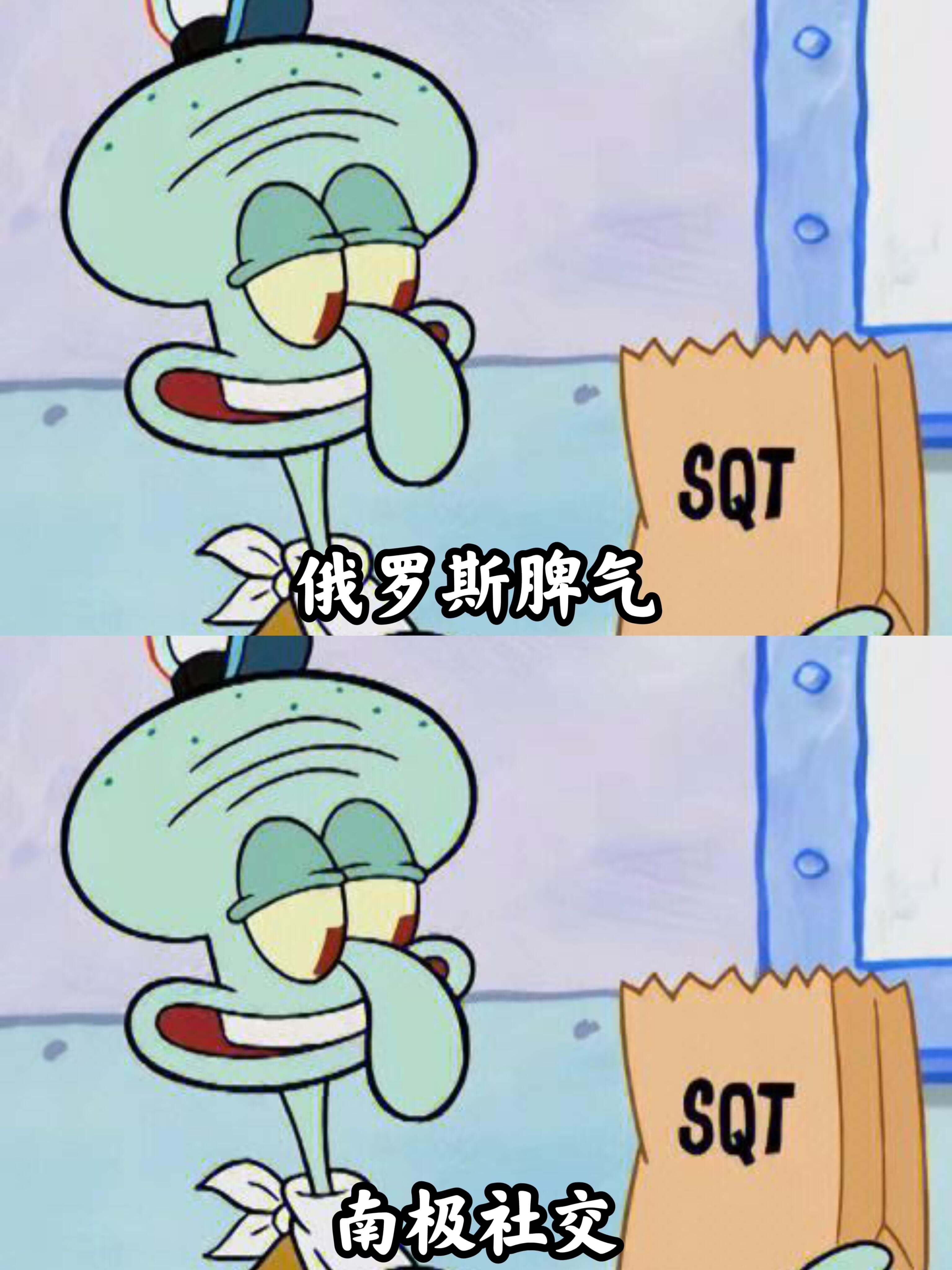 SQT俄罗斯脾气SQT南极社交