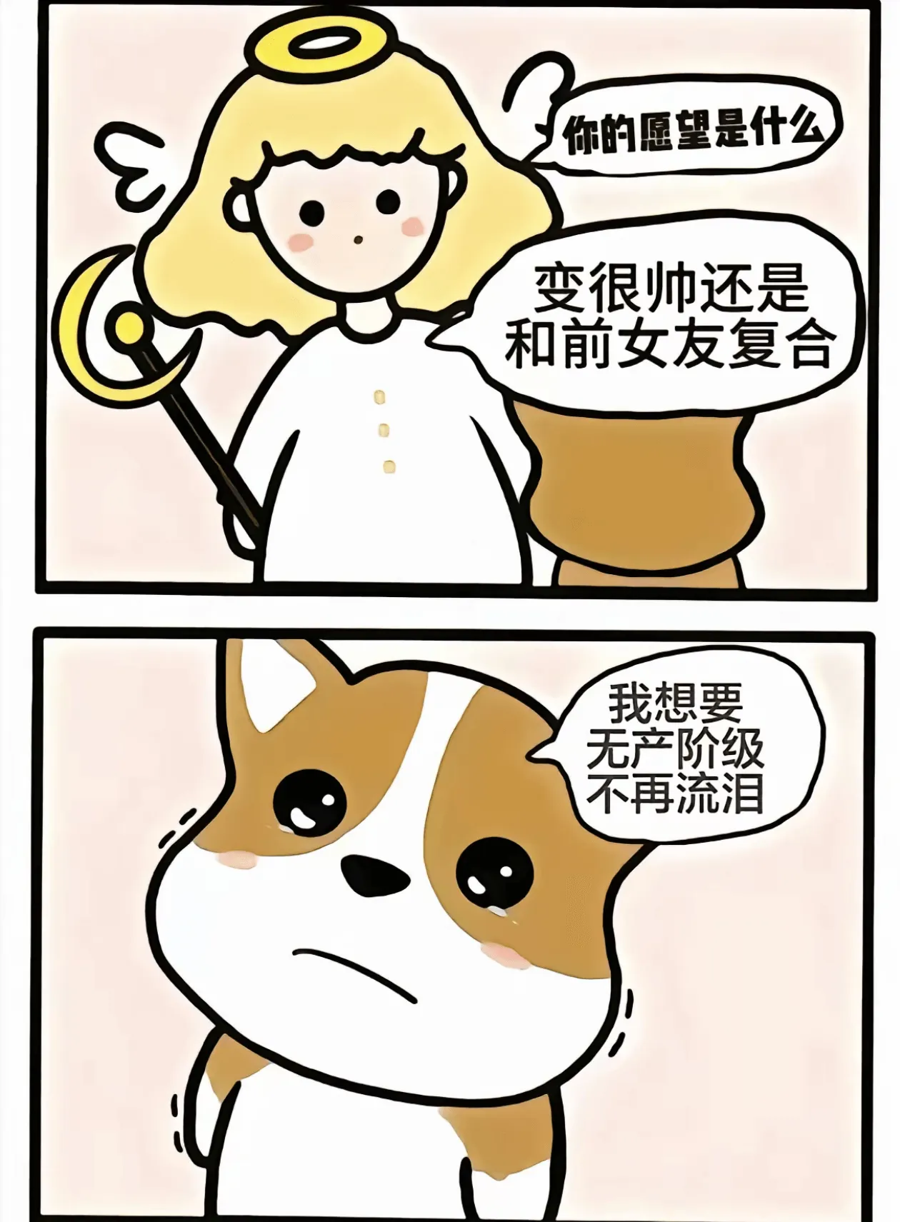 你的愿望是什么：变很帅，还是和前女友复合？我想要无产阶级不再
