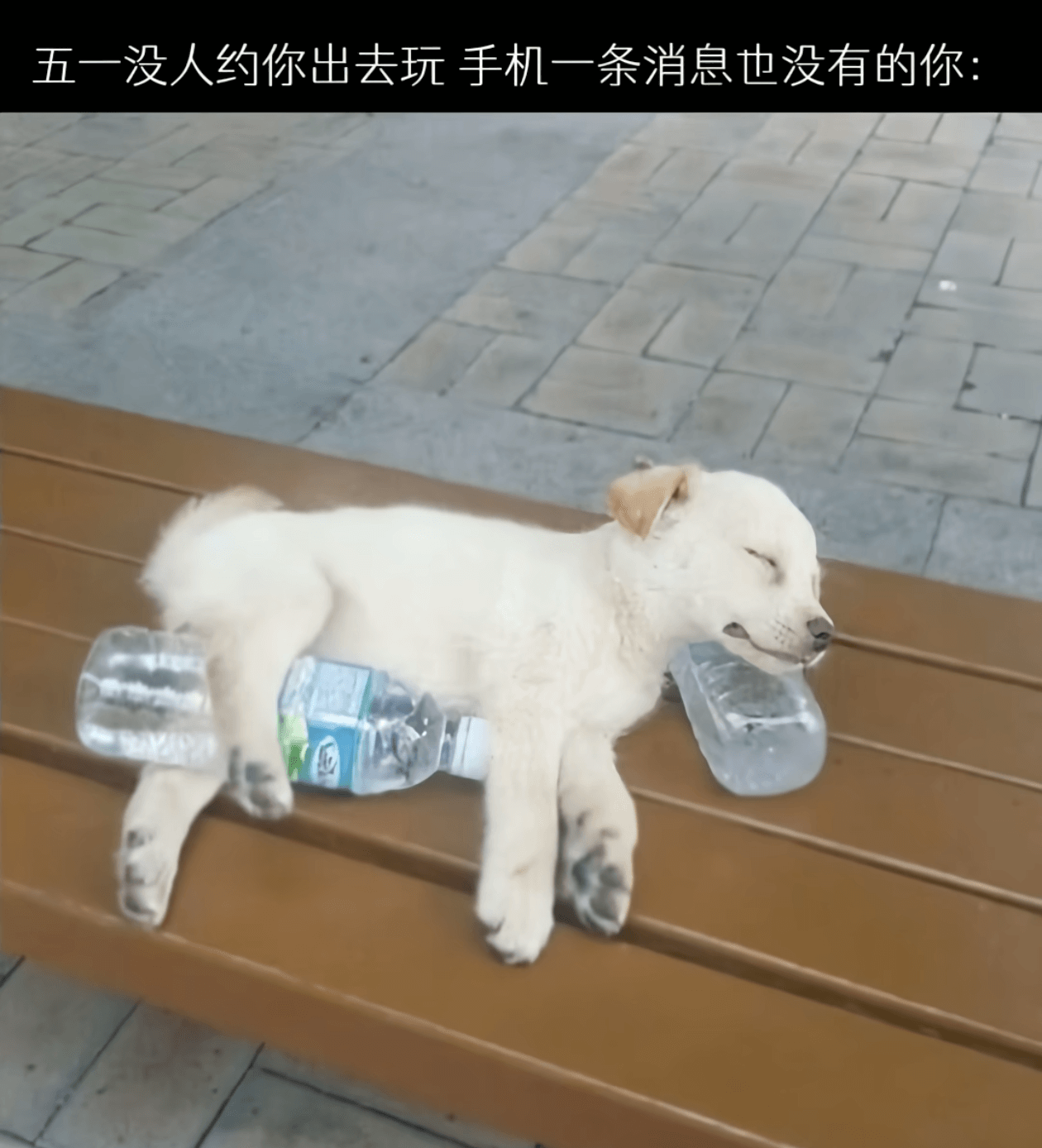 五一没人约你出去玩手机一条消息也没有的你