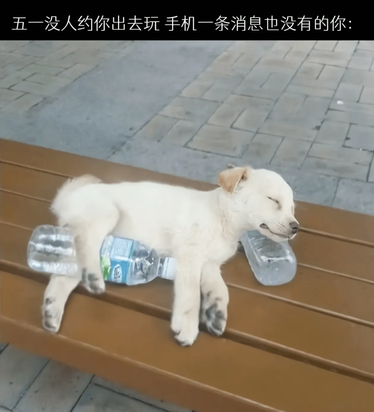 五一没人约你出去玩手机一条消息也没有的你