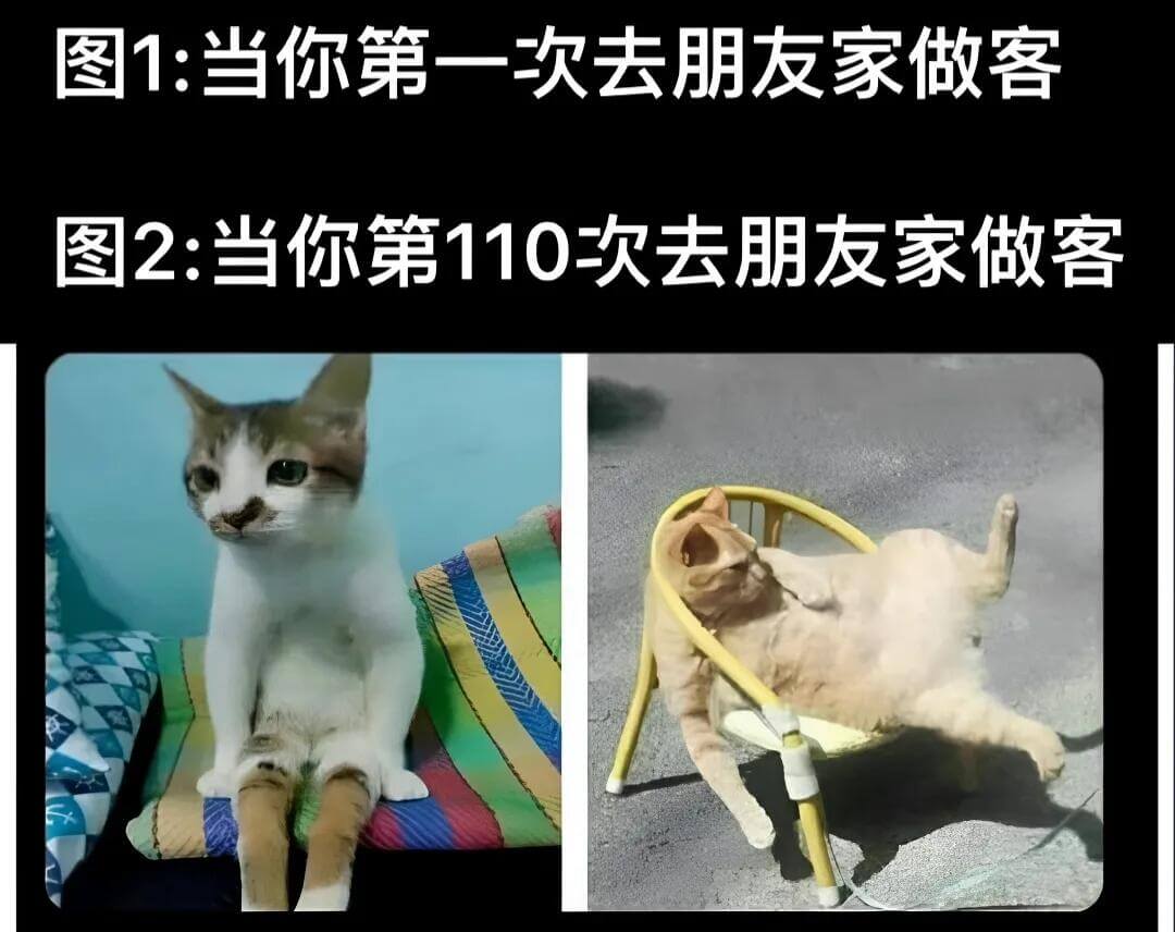 图1：当你第一次去朋友家做客图2：当你第110次去朋友家做客