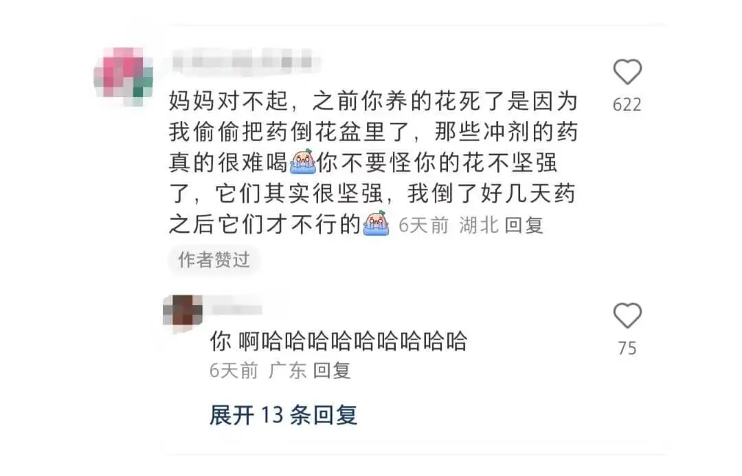 妈妈对不起，之前你养的花死了是因为622我偷偷把药倒花盆里了