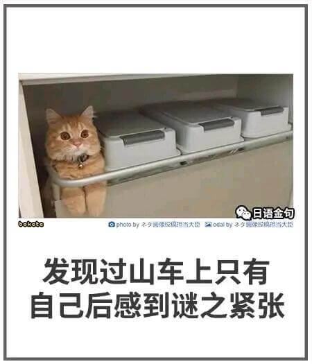 日语金句bokecophoto.by本象稳报当大臣深odal