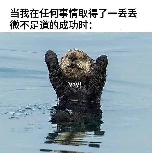 当我在任何事情取得了一丢丢微不足道的成功时：Vay