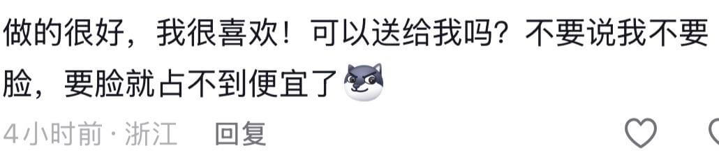 做的很好，我很喜欢！可以送给我吗？不要说我不要脸，要脸就占不