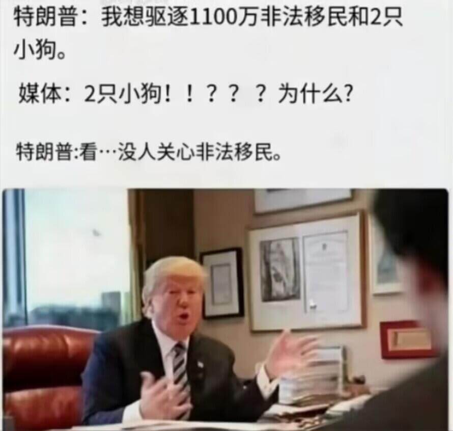 特朗普：我想驱逐1100万非法移民和2只小狗。媒体：2只小狗