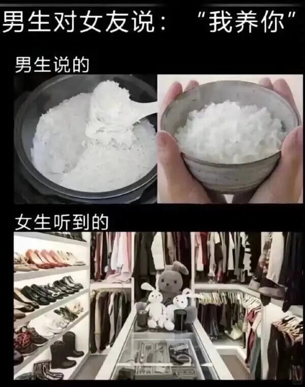 男生对女友说：“我养你男生说的女生听到的