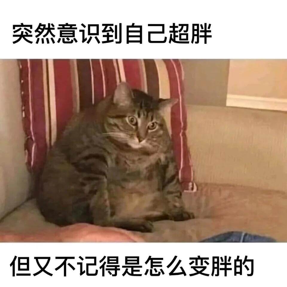 突然意识到自己超胖，但又不记得是怎么变胖的。