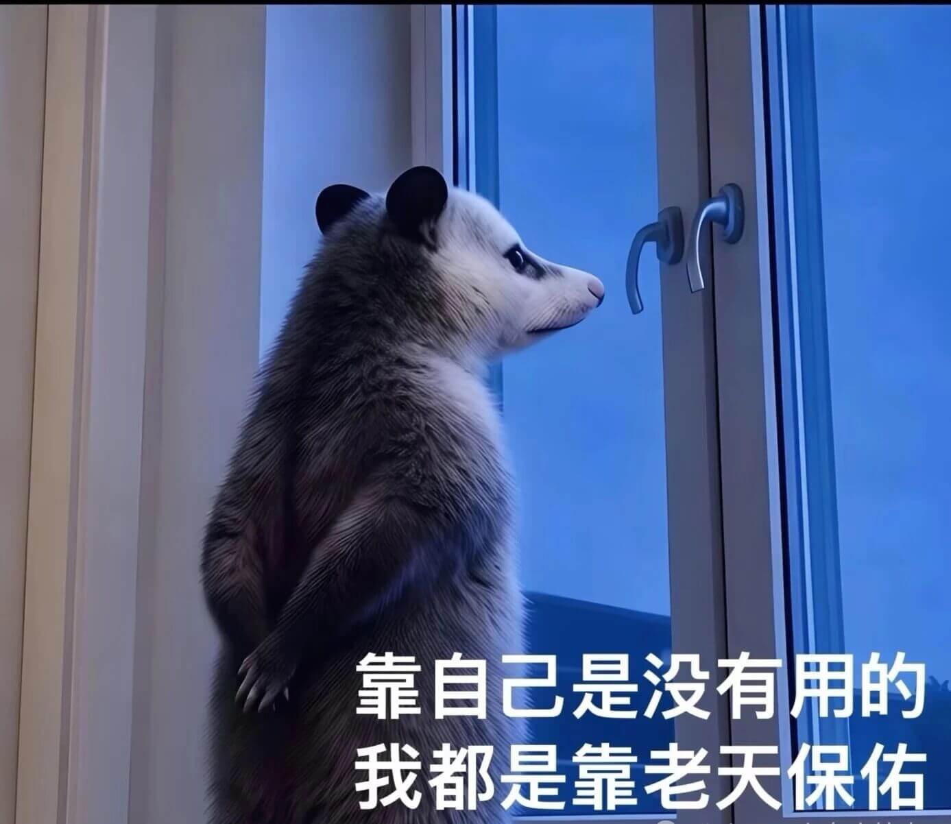 靠自己是没有用的，我都是靠老天保佑。