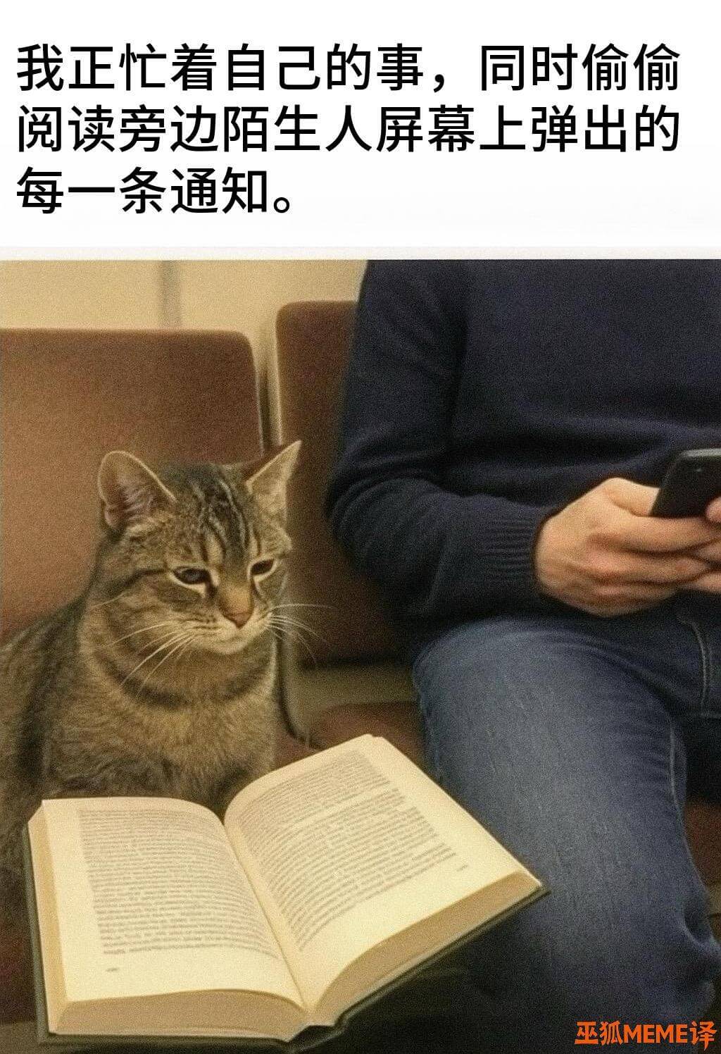 我正忙着自己的事，同时偷偷阅读旁边陌生人屏幕上弹出的每一条通