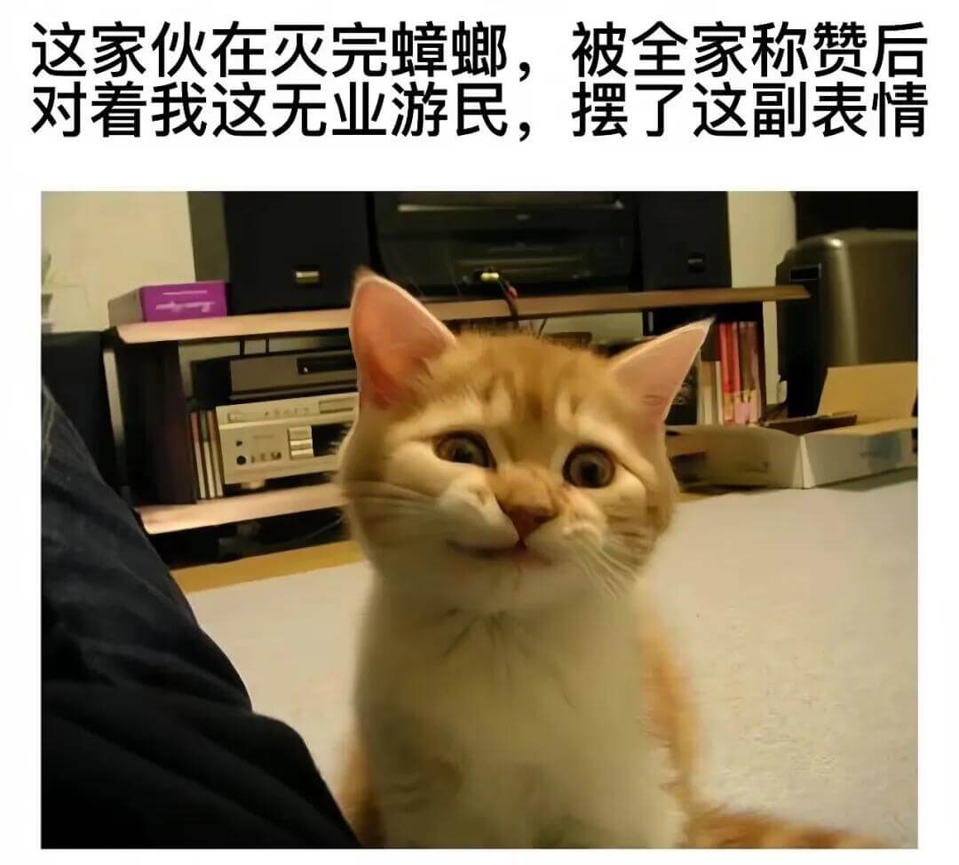 这家伙在灭完蟑螂，被全家称赞后，对看我这无业游民，摆了这副表