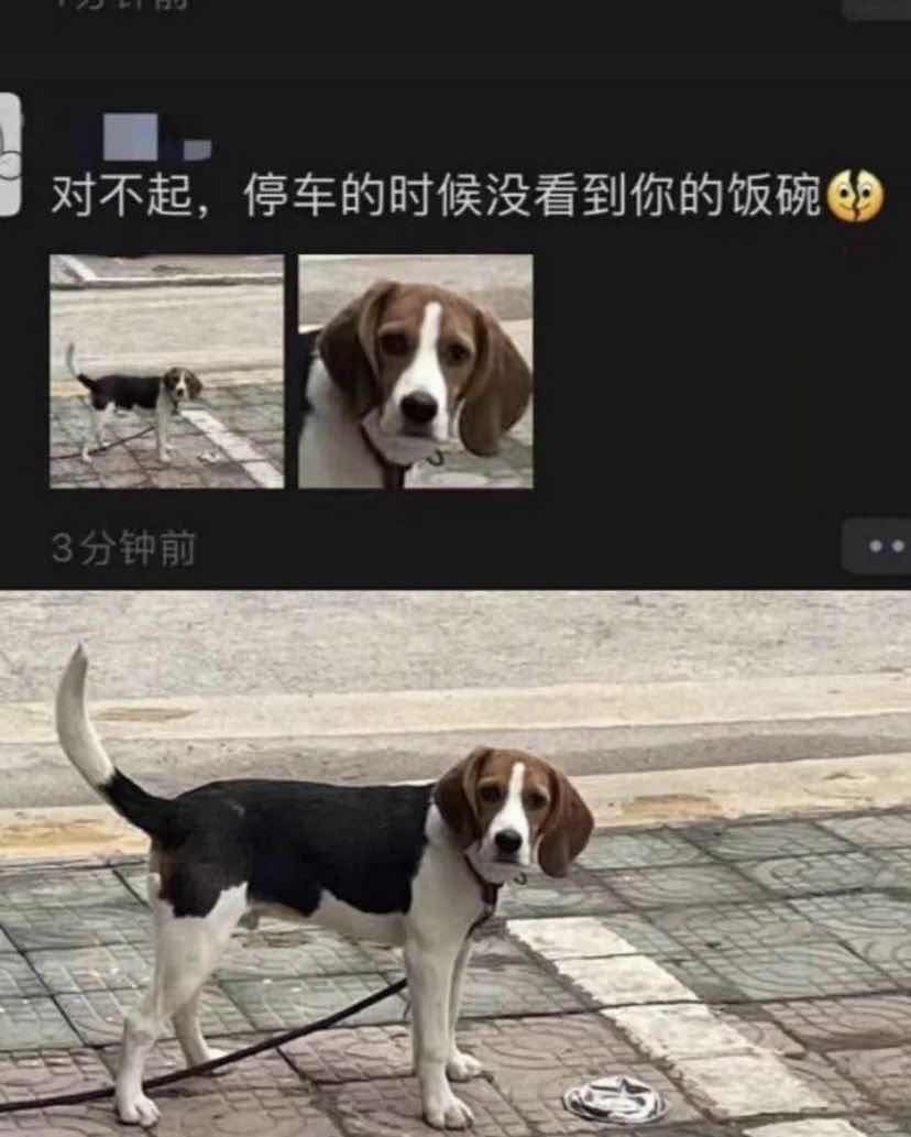 对不起，停车的时候没看到你的饭碗。3分钟前